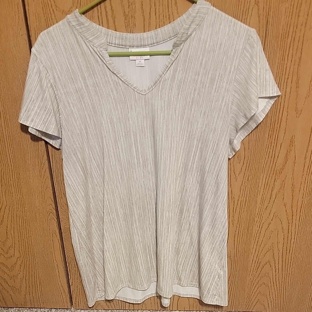 Women's Gray V-Neck Top